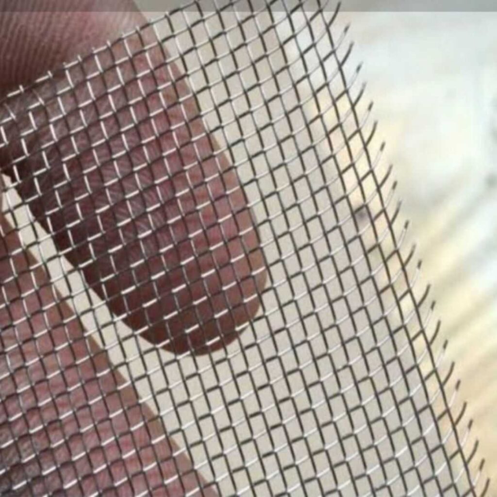 10 Mesh SS 304 Grade